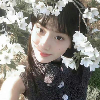 双龙会粤语